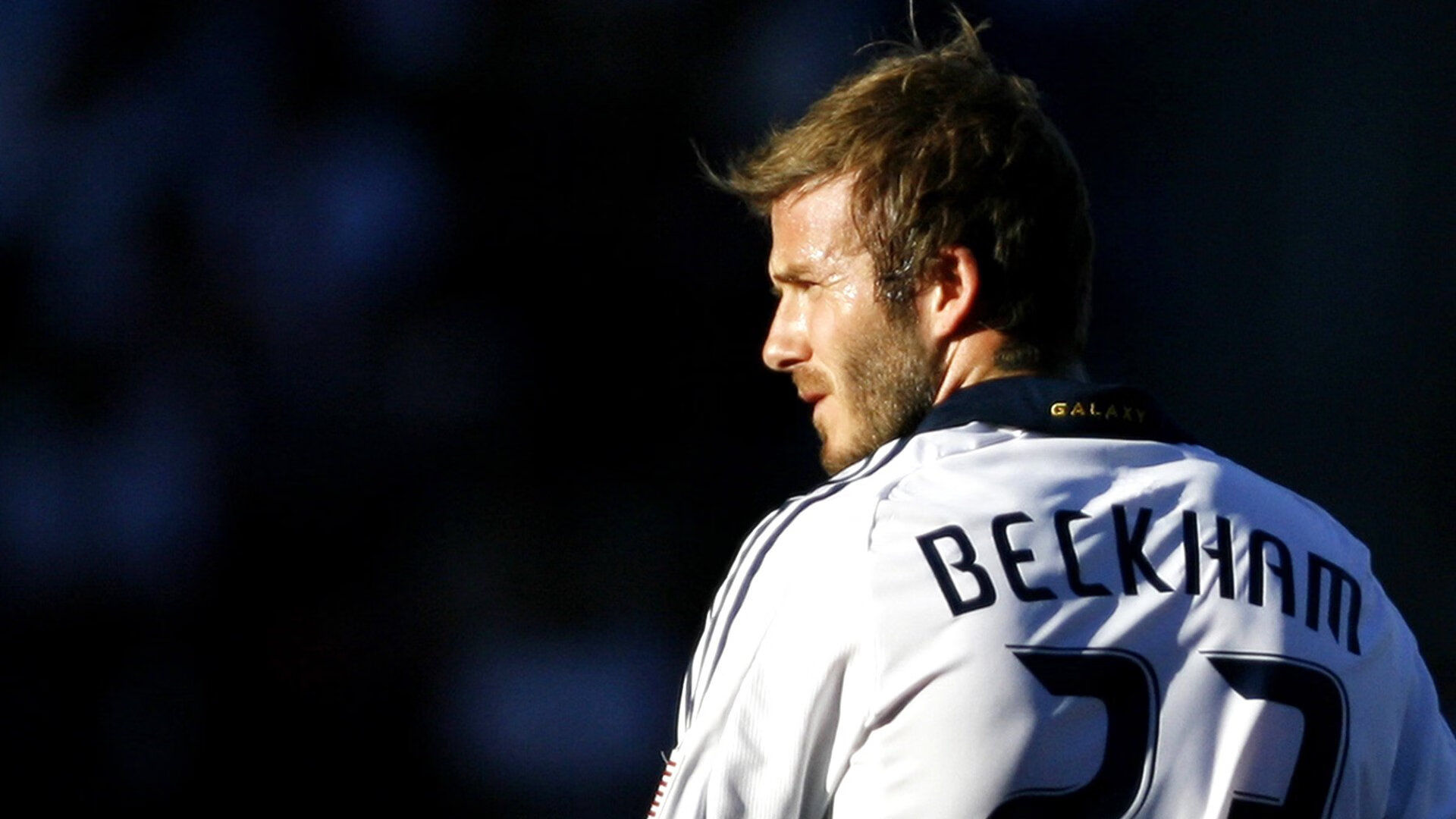 费基尔加盟皇家贝蒂斯,菲尔基贝尔